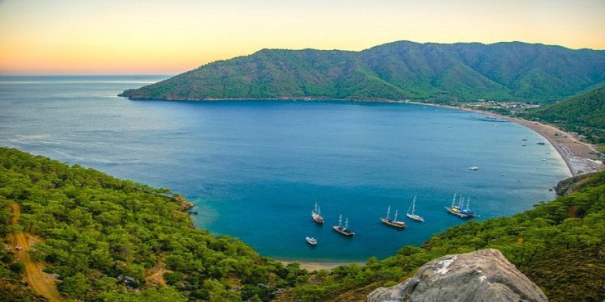 Seyrine Doyulmayan Koylar