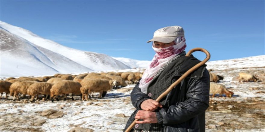 Doğuda Kış Manzaraları