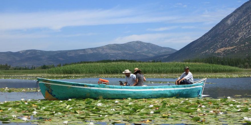 TÜRKİYE’NİN GÖRSEL ZEVKİ,EN BÜYÜK NİLÜFER DERYASI ÇİVRİL IŞIKLI GÖLÜ