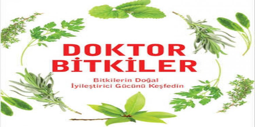 Yaşamı kolaylaştıracak, sağlık kalitemizi artıracak bilgiler