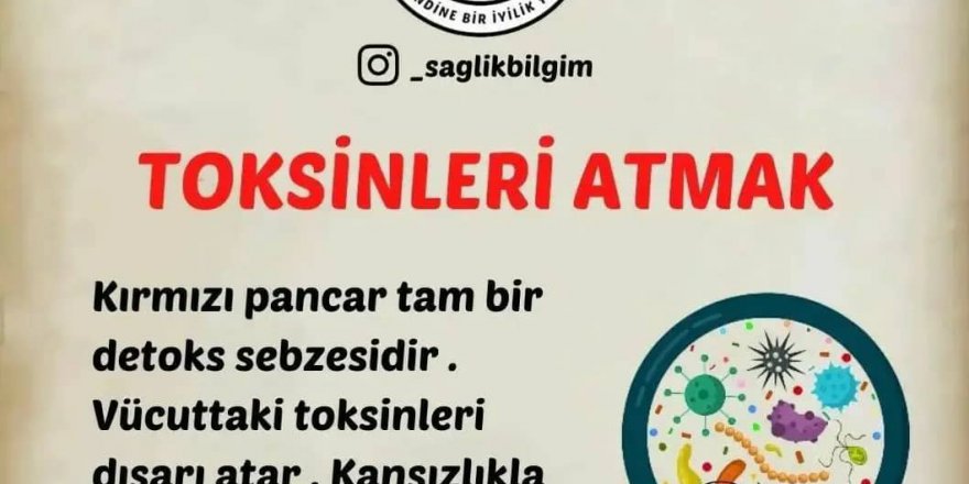 Sağlık İçin Doğal Çözüm Bilgileri