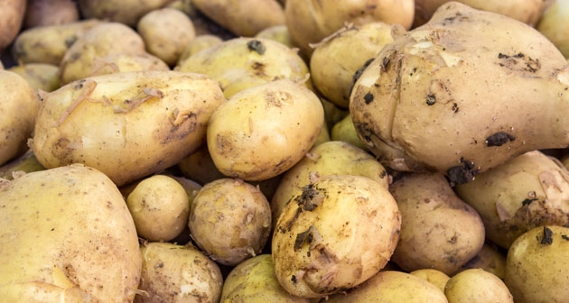 Filizlenmiş patates yenir mi?