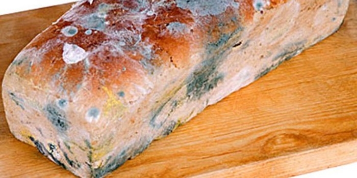 Küflü Ekmek Yemek Zararlı mı?