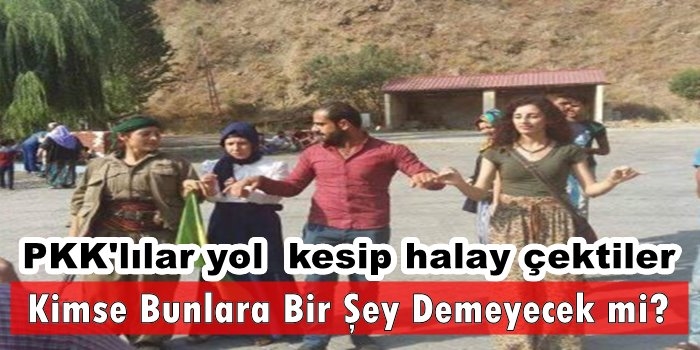 Bitlis’te PKK lılar yol kesip halay çektiler