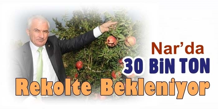 Bereket Bu Sene Narda