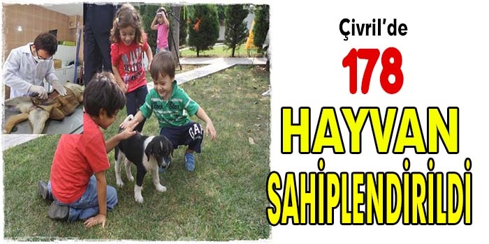 Hayvan Barınağında 178 Hayvan Sahiplendirildi!