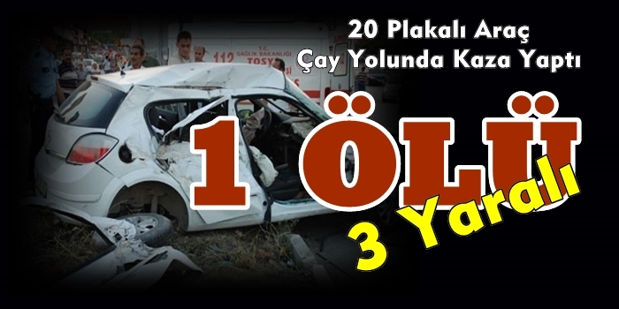 20 Plakalı Araç Çay Yolunda Kaza Yaptı