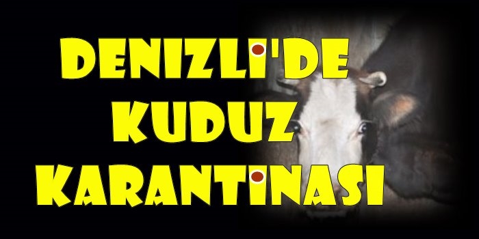 Denizli'de Kuduz Karantinası