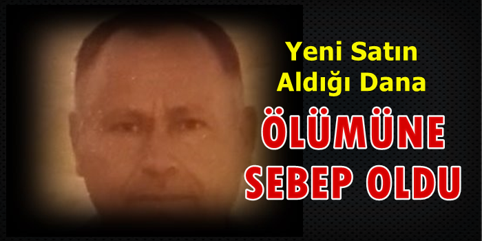 Satın Aldığı Dana Ölümüne Sebep Oldu