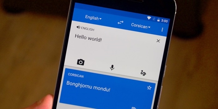 Google Çeviri'den Türkçe Düzenlemesi