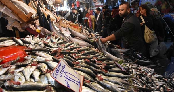 Çinekop Bereketi Palamudu Geçti