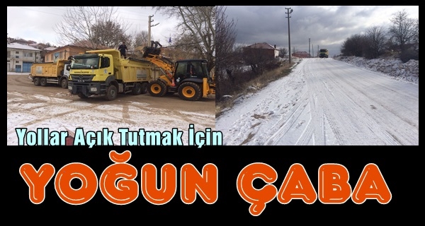 Pamukkale Belediyesi Kar ve Buzla Savaşıyor