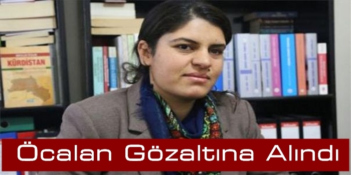 Dilek Öcalan gözaltına alındı