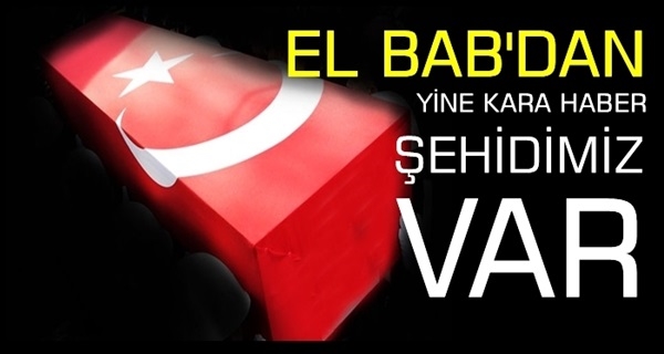 Fırat Kalkanı'nda 68.Şehit!