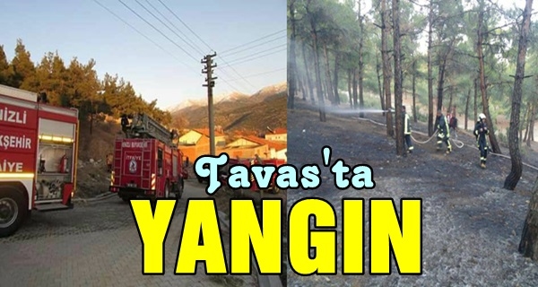 Tavas İlçesinde Yangın