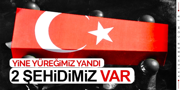 Bitlis'ten Kara Haber: 2 Mehmetçiğimiz Şehit