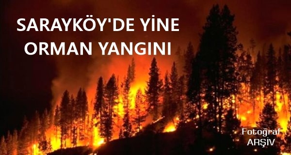 Sarayköy'de Yine Orman Yangını