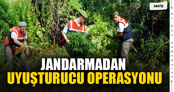 Denizli'de Uyuşturucu Operasyonu