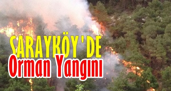 Denizli Sarayköy'de Orman Yangını
