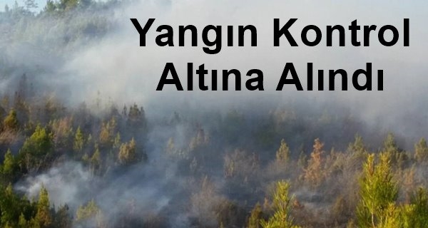 Acıpayam'da 5 Hektarlık Alan Zarar Gördü