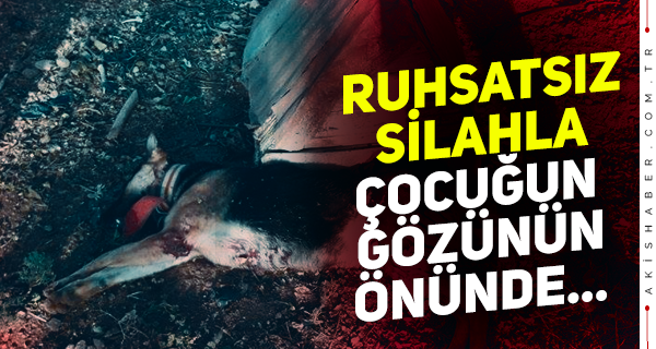 İddia Doğruysa, Korkunç...