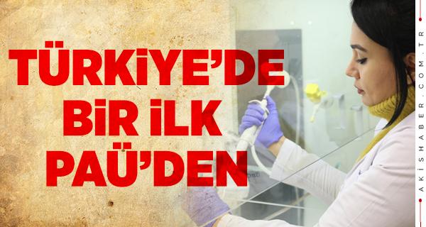 Bu Çalışma Türkiye'de İlk