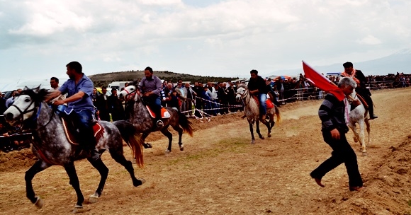 Dazkırı'da Altın Ödüllü Rahvan At Yarışı Yapıldı