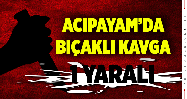 Acıpayam'da Kavga 1 Yaralı