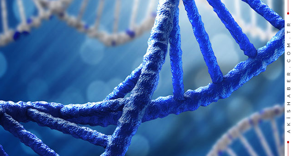 Kanser Tedavisi İçin DNA Nanorobotları Geliştirildi