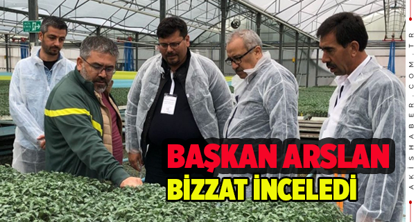 Başkan Arslan Bizzat İnceledi