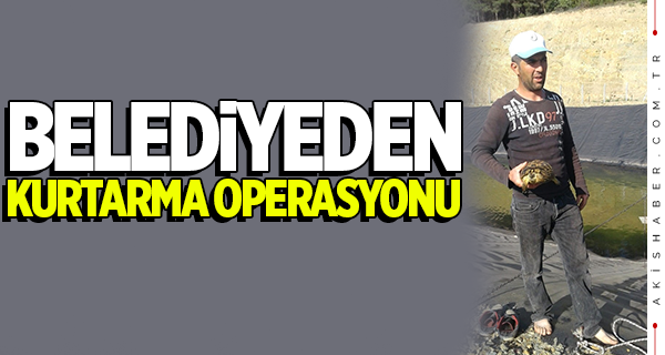 Çal Belediyesi'nden kurtarma operasyonu!