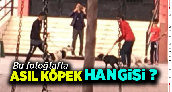 Okul Bahçesinde Olanlar Şoke Etti