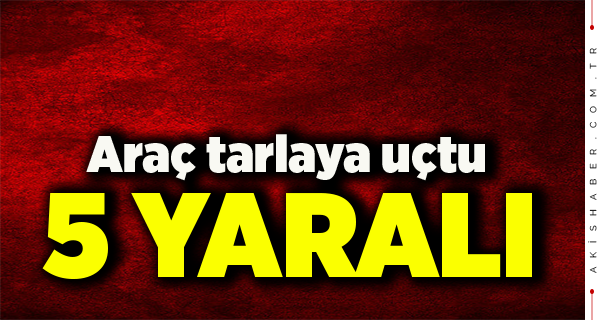 Sarayköy’de Panikleten Kaza