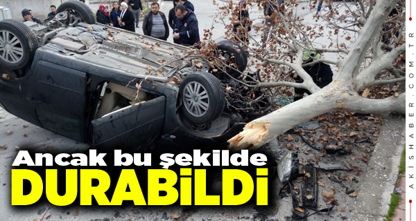 Pamukkale'de Korkunç Kaza