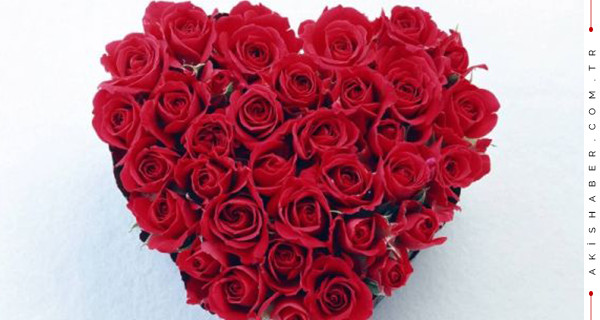 14 Şubat sevgiliye romantik WhatsApp mesajları Sevgililer günü şiirleri