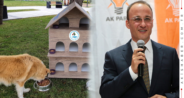 Sokak Hayvanları Kaderine Terk Edilmeyecek