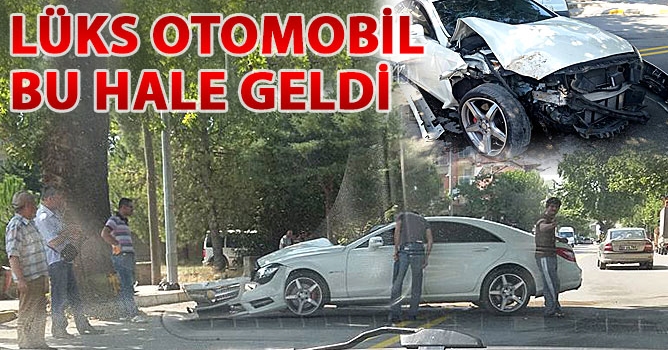 Lüks Otomobil Ağaca Çarptı