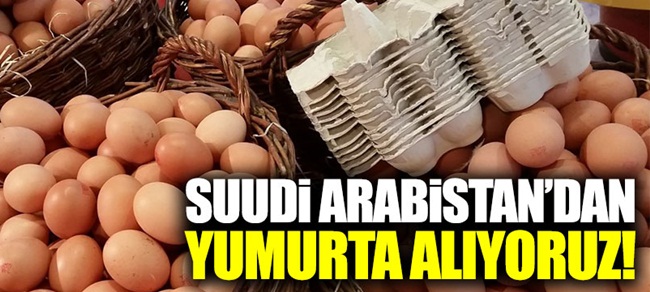 Suudi Arabistan'dan yumurta alıyoruz!