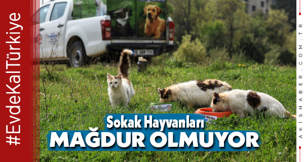 Can Dostlar Büyükşehir’e Emanet