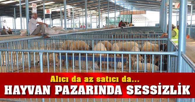 Hayvan pazarında sessizlik hakim