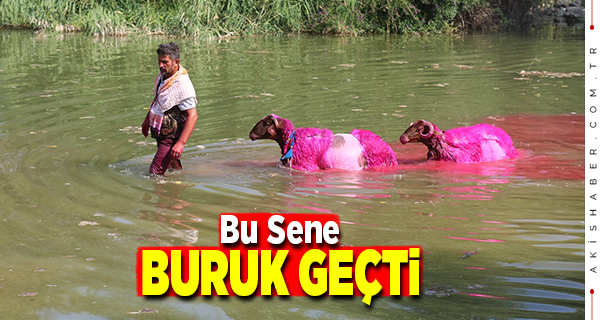 Çal'ın 847 Senelik Geleneği Temsili Olarak Yapıldı