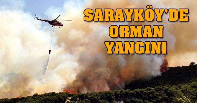 Sarayköy’de orman yangını