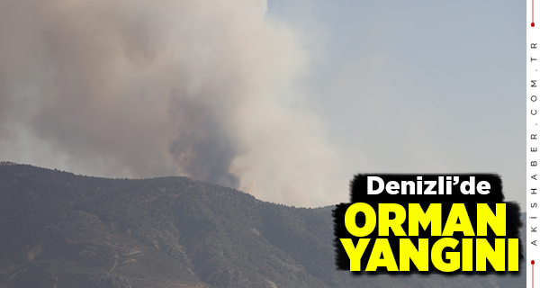 Denizli'de 25 Hektar Kül Oldu