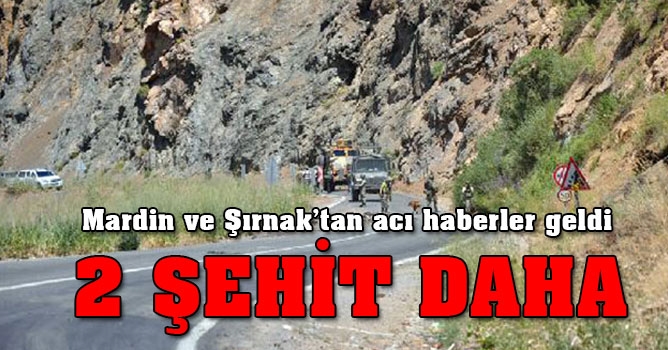 Mardin ve Şırnak'tan acı haberler: 2 şehit