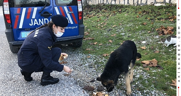 Denizli'de Jandarmadan Sevgi Eli