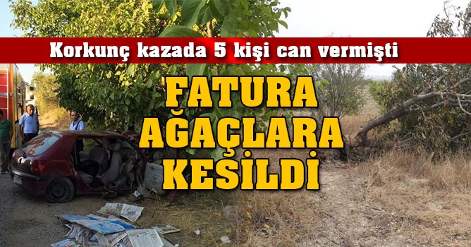 5 kişinin öldüğü kazanın faturası ağaçlara kesildi