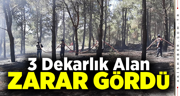 Bekilli'de Orman Yangını