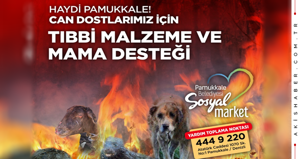 Pamukkale Belediyesi Can Dostları Unutmadı