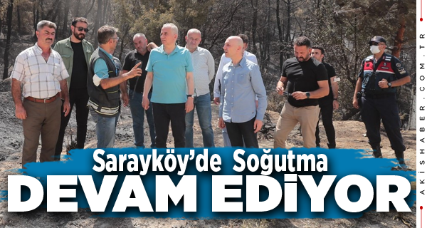 Sarayköy’deki Yangının Bilançosu Ortaya Çıktı
