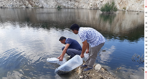 Göl ve Göletlere 210 Bin Yavru Sazan Balığı Bırakıldı